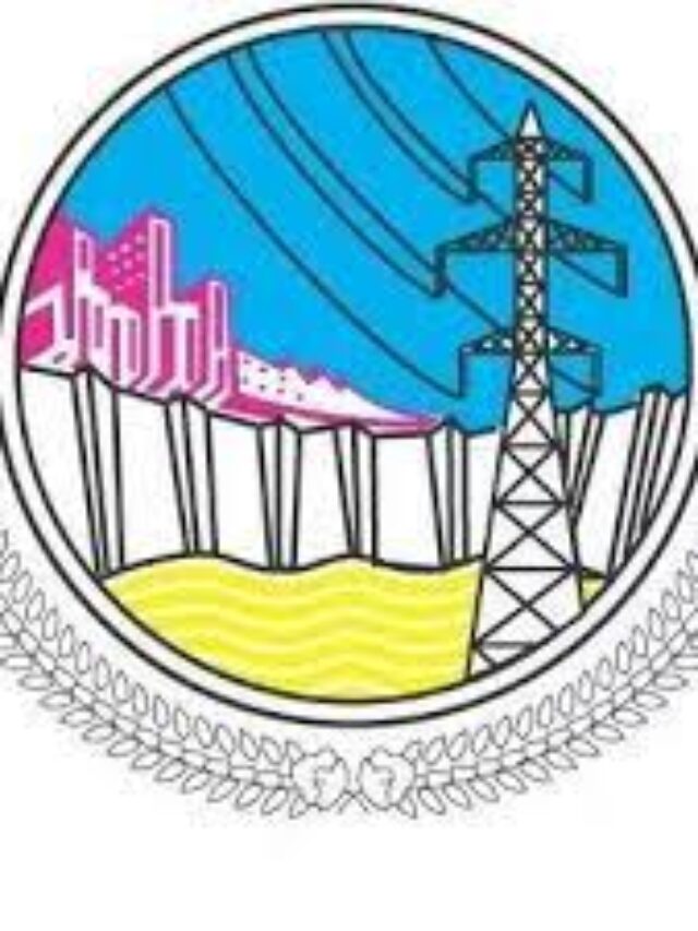 Wapda Jobs 2025